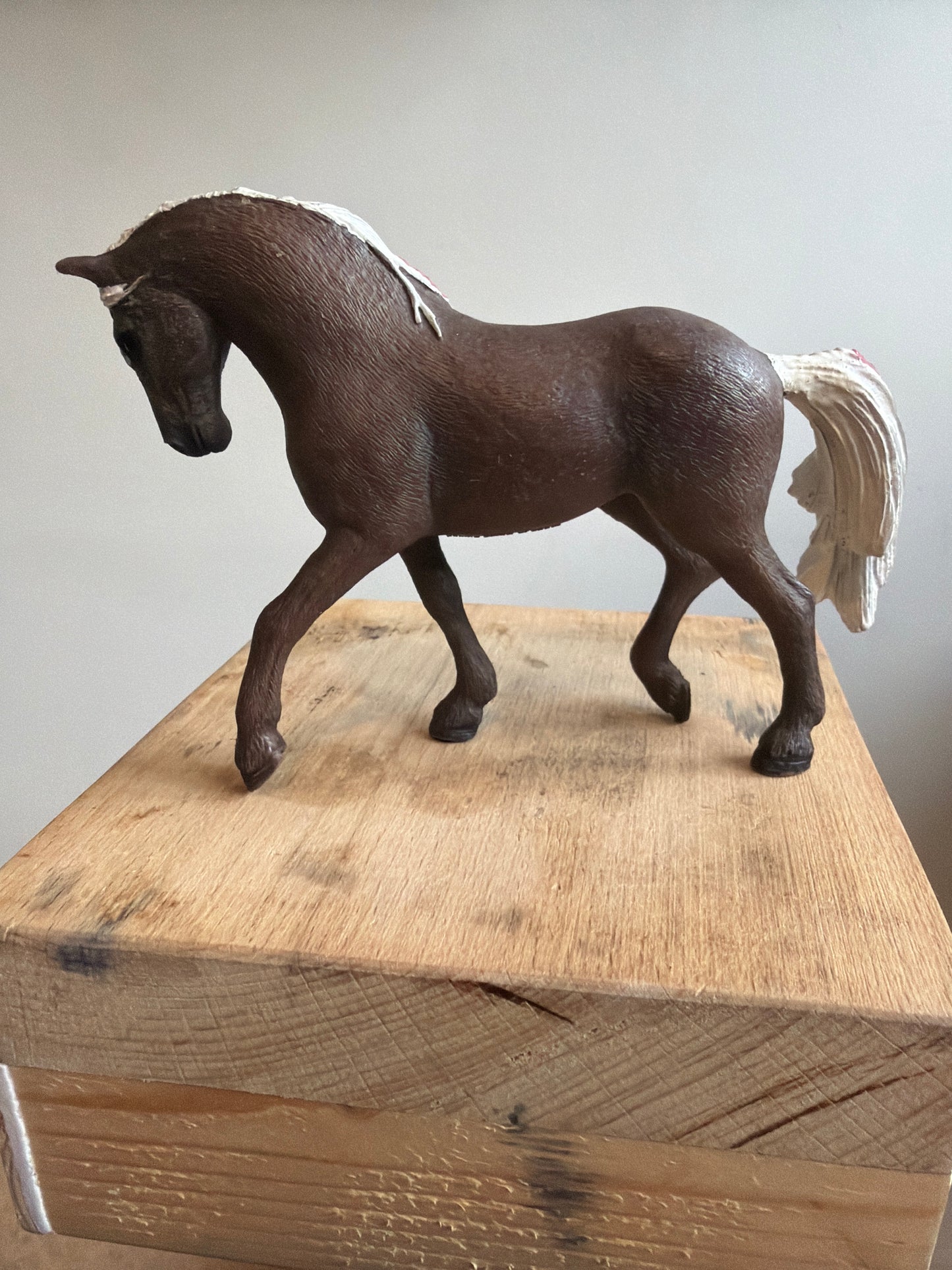 ✨ Re-Loved Rockstar Rocky Mountain Pony –Rosie ✨