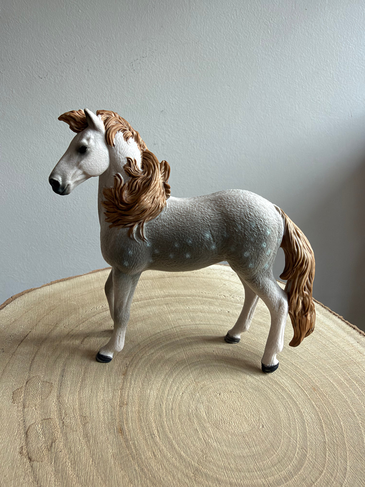 ✨Re-Loved Rockstar Andalusian Stallion– Apollo ‘24✨