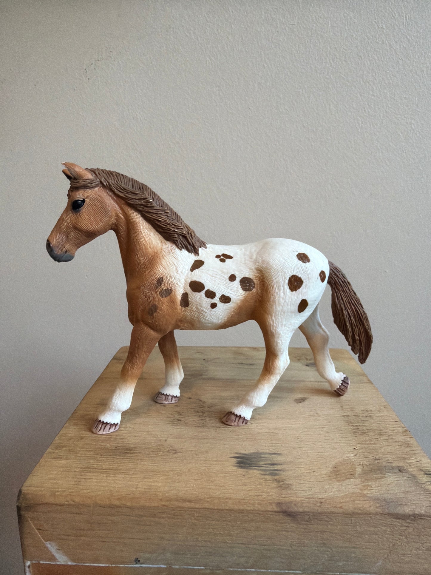 ✨ Re-Loved Rockstar Appaloosa Mare – Emily✨