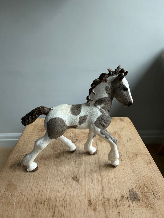 ✨ Re-Loved Rockstar Tinker Foal –✨