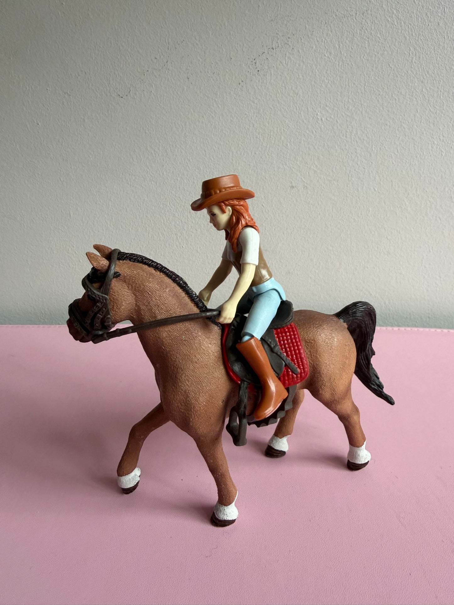 Re-Loved Rockstar: Cayenne Mare and Rider Hannah
