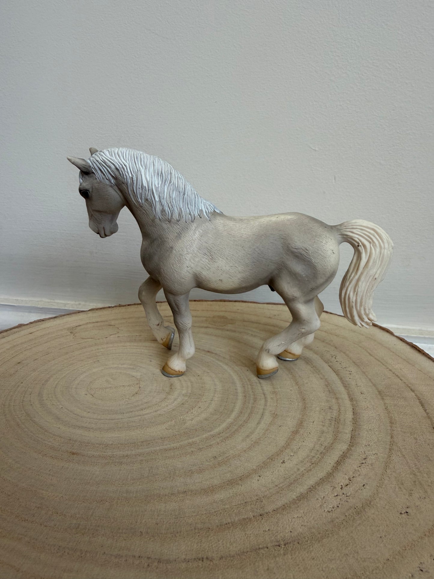 Re-Loved Rockstar: Lipizzaner Gelding- Arturo 2004