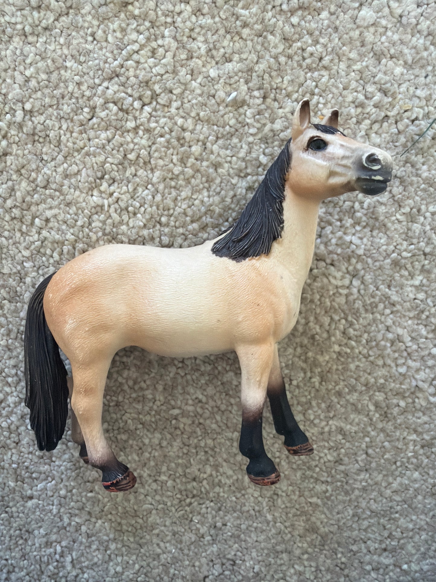 Re-Loved Rockstar: Mustang Mare - Milly