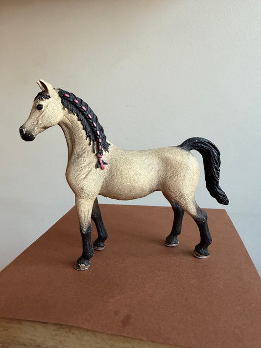 ✨Re-Loved Rockstar Arabian Mare – Suri ✨