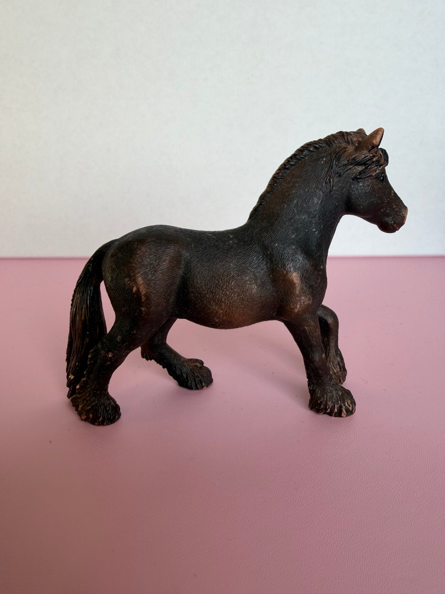 ✨Re-Loved Rockstar Fell Pony Retired Mare – Emma ✨ (Copy)