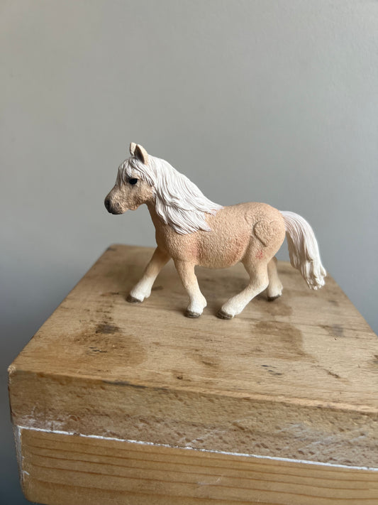 ✨Re-Loved Rockstar Miniature Shetland Pony Mare– Diddy