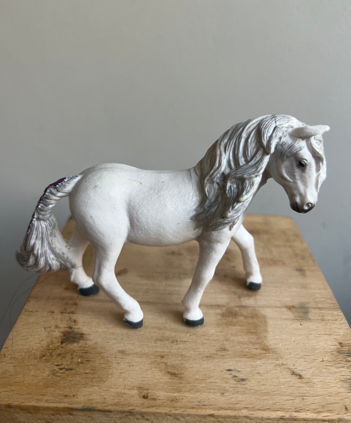 ✨Re-Loved Rockstar Icelandic Pony Mare– Isla