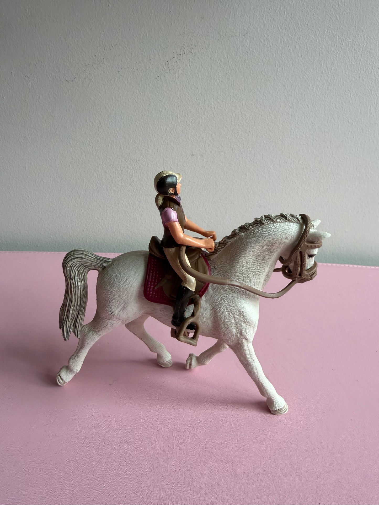 ✨Re-Loved Rockstar – Holsteiner Mare & Rider✨