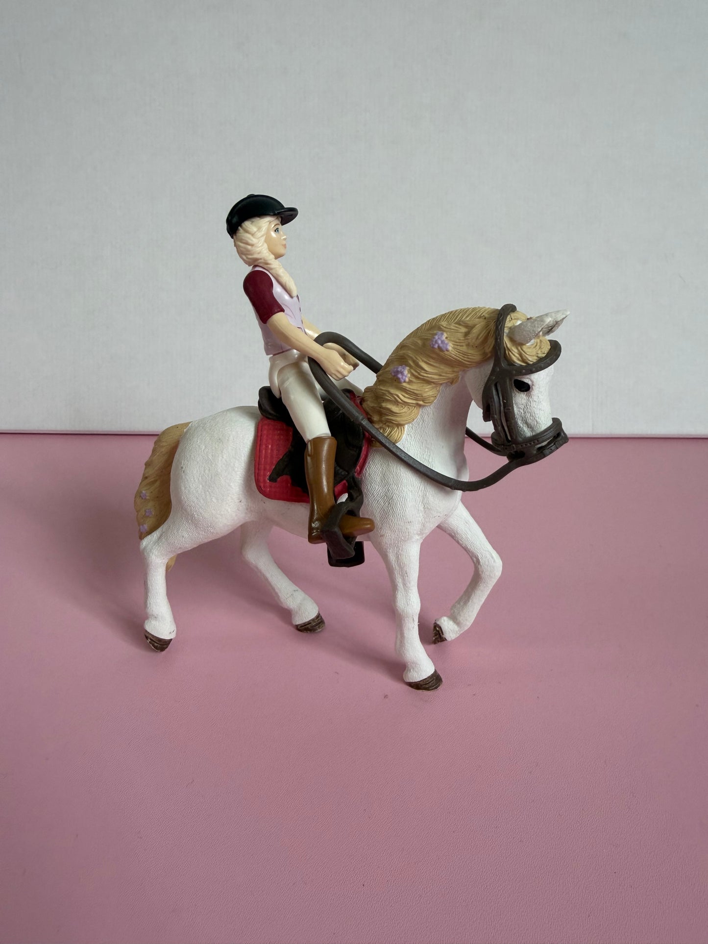 Re-Loved Rockstar: Andalusian mare Blossom and Rider Sofia