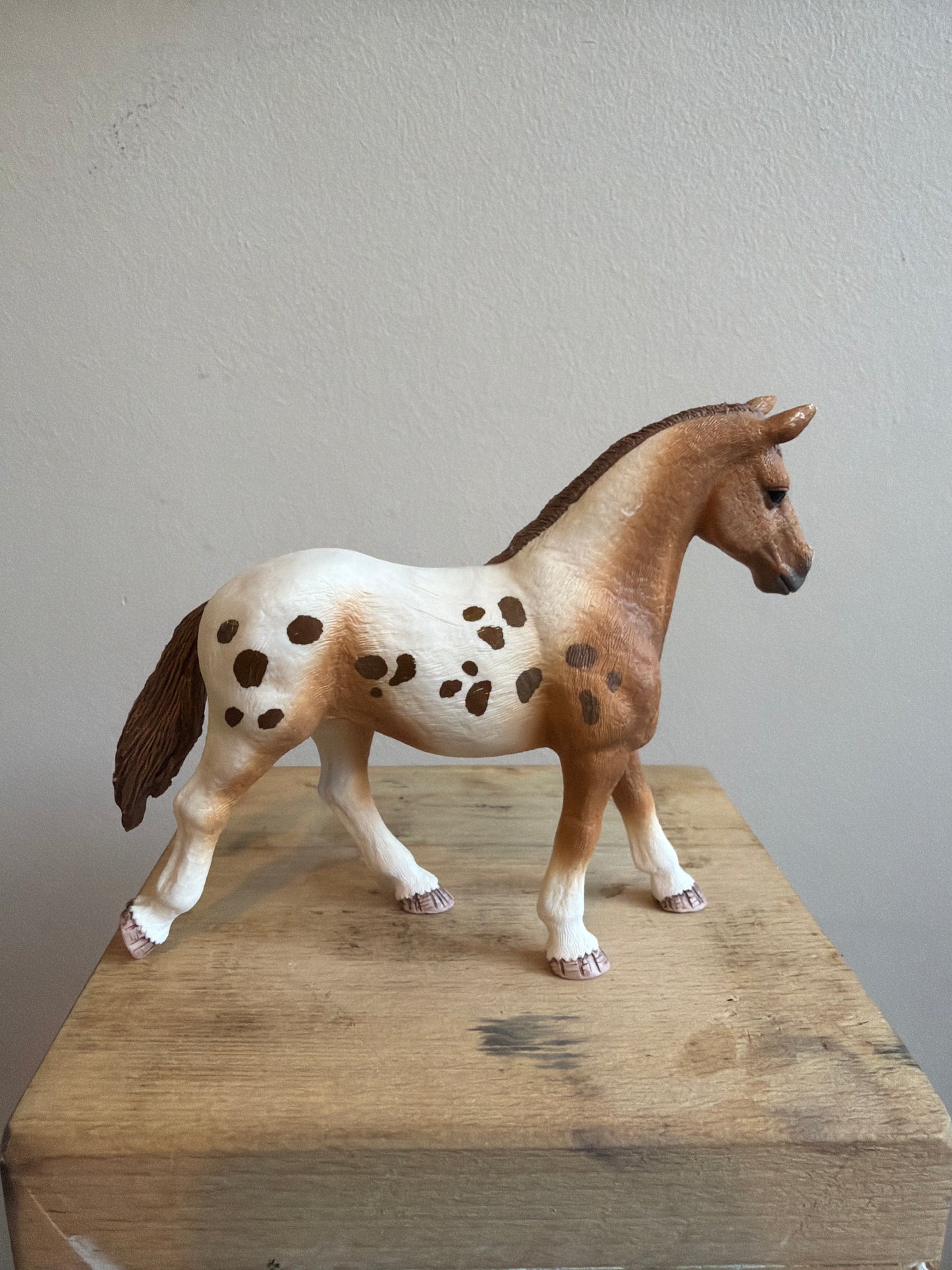 ✨ Re-Loved Rockstar Appaloosa Mare – Emily✨