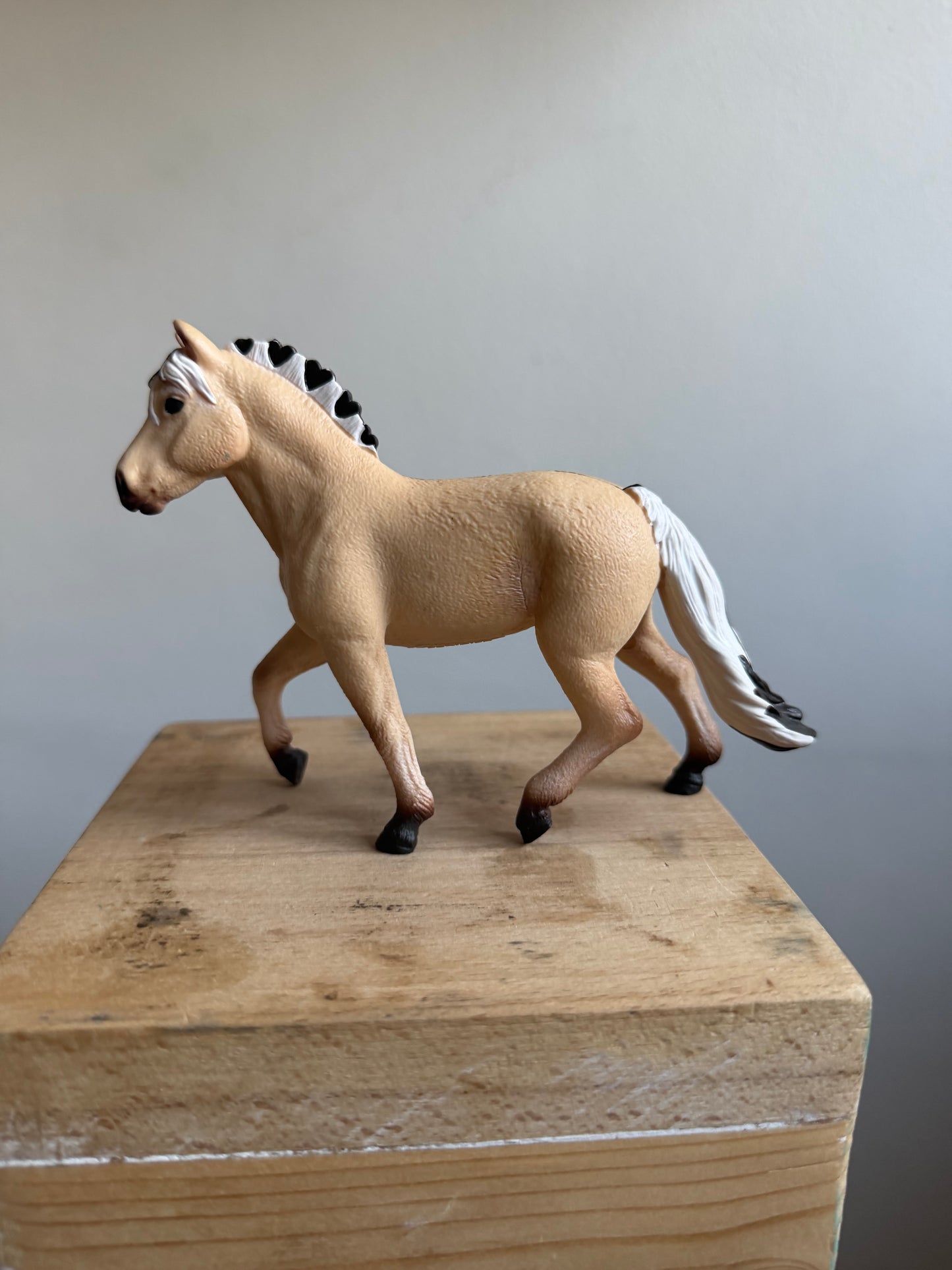 ✨Re-Loved Rockstar Norwegian Fjord Mare – Hannah