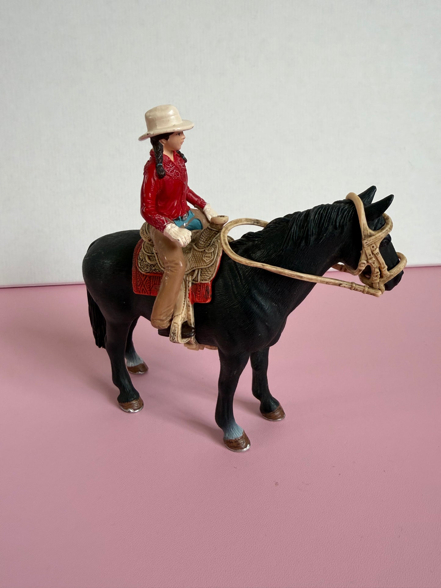 Re-Loved Rockstar: Tennessee Stallion and Western Rider
