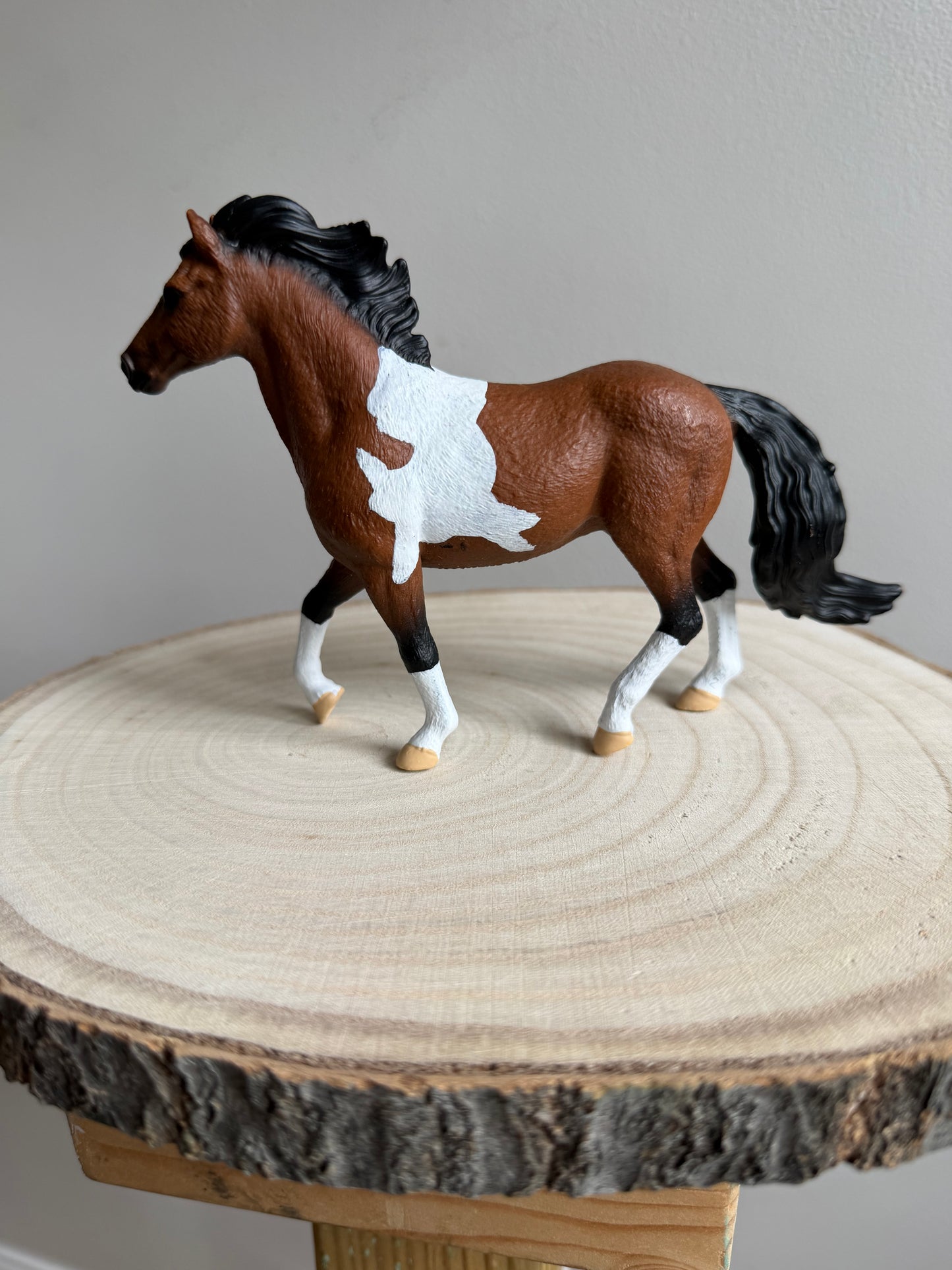 ✨Re-Loved Rockstar Mangalarga Marchador Stallion– Buzz✨