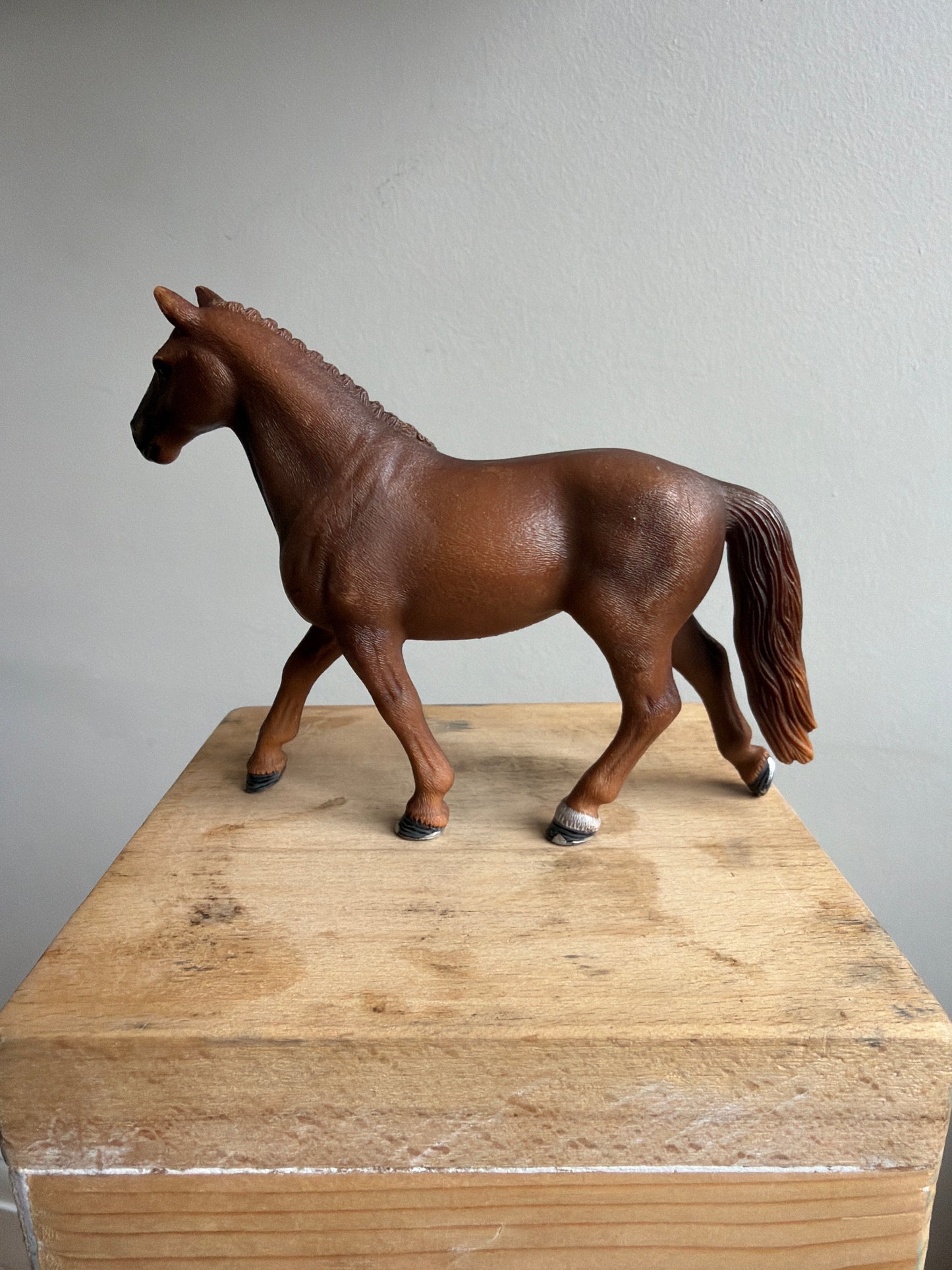 ✨ Re-Loved Rockstar Retired 2012 Hanoverian Mare – Dixie✨
