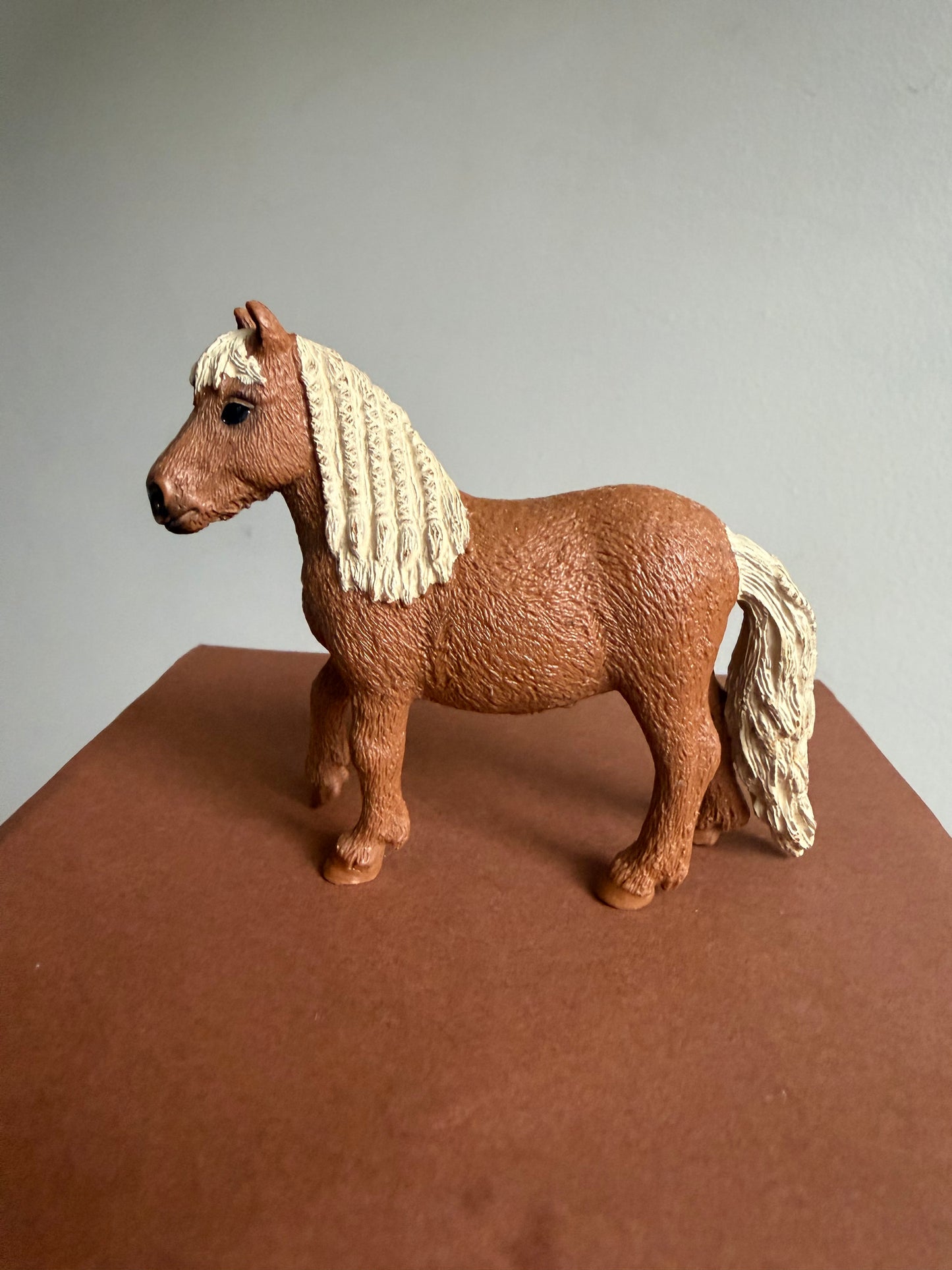 ✨Re-Loved Rockstar Shetland– Ruby