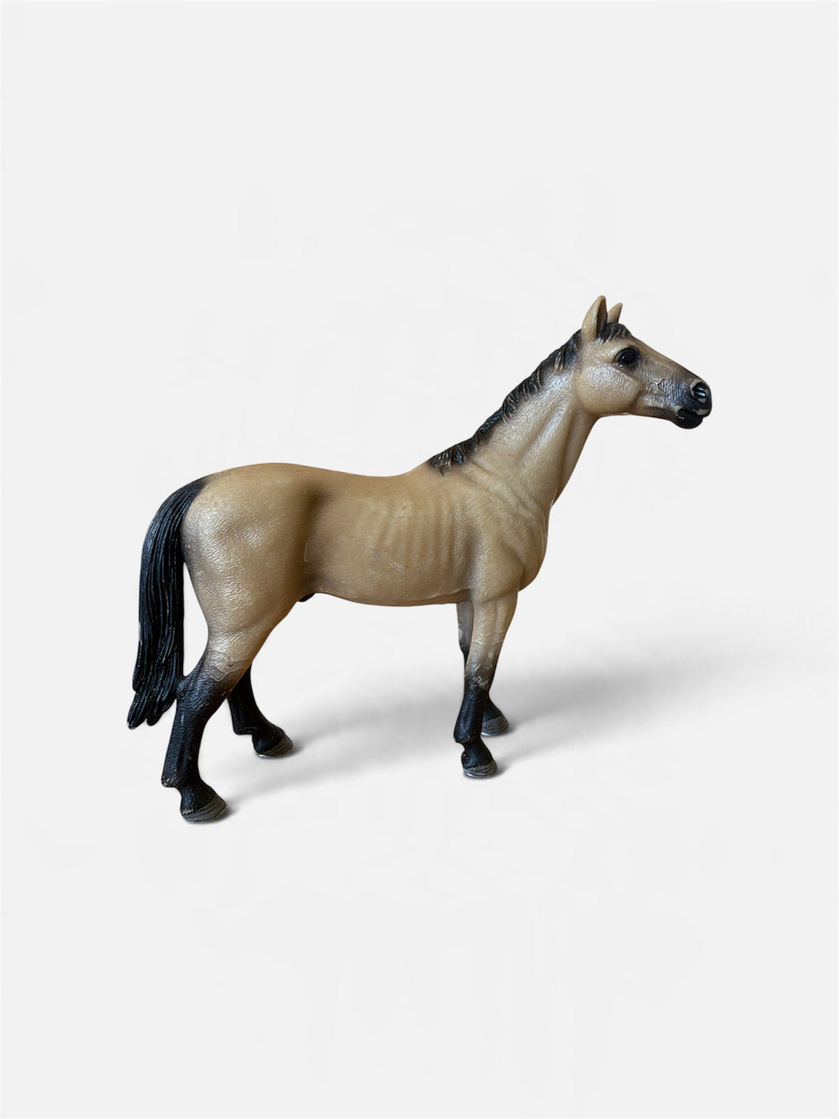 ✨Re-Loved Rockstar  Akhal-Teke  Stallion - Orion 2010✨