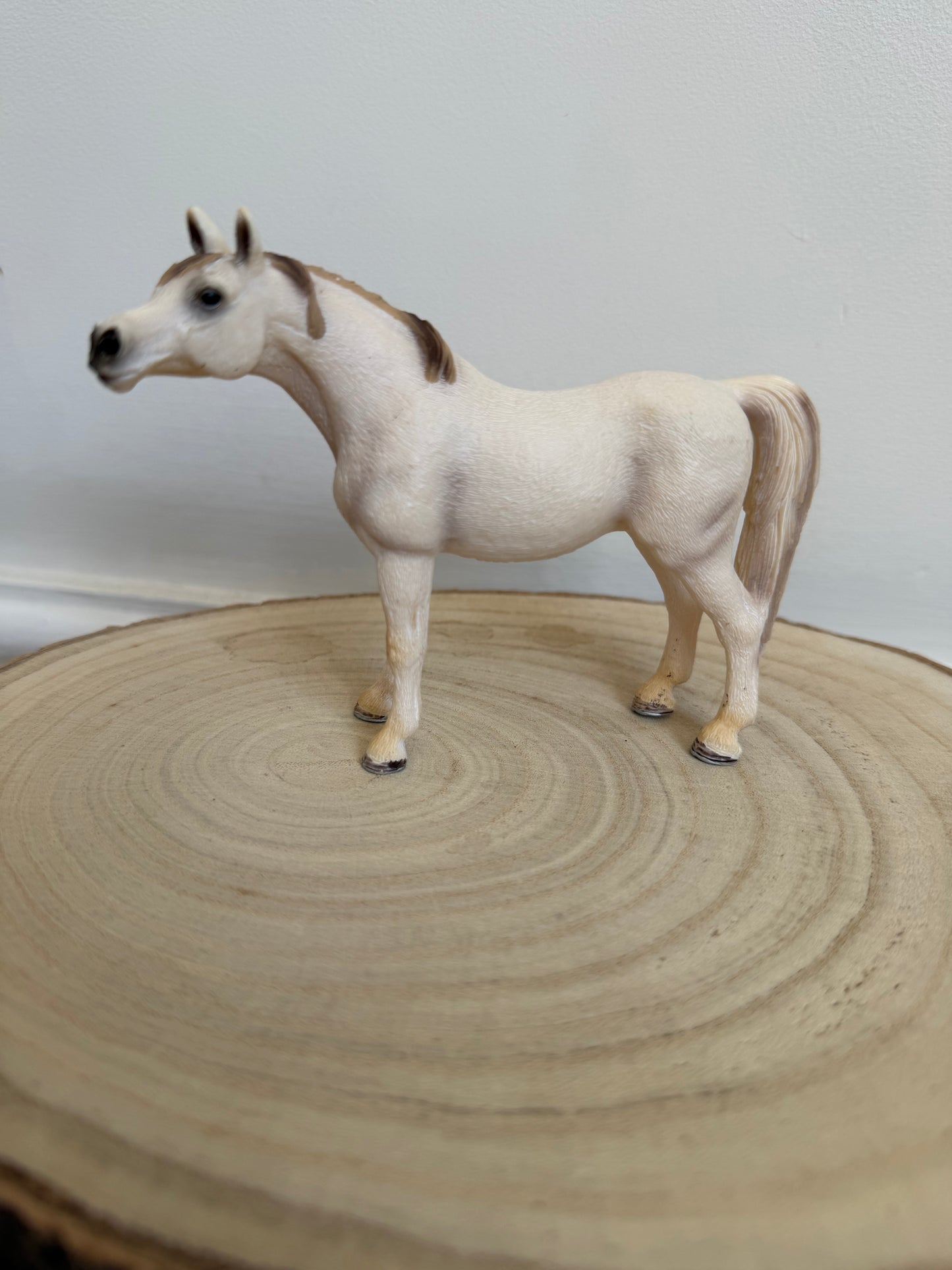 ✨Re-Loved Rockstar Arabian Mare – 2007 ✨