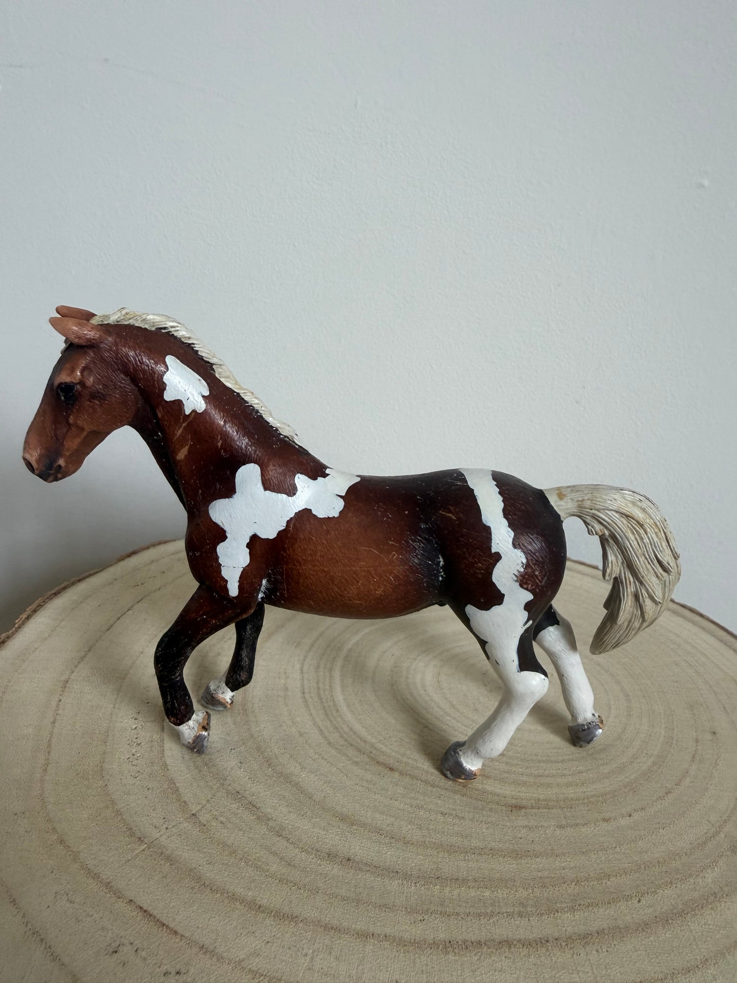 ✨Re-Loved Rockstar Trakehner– Splat✨