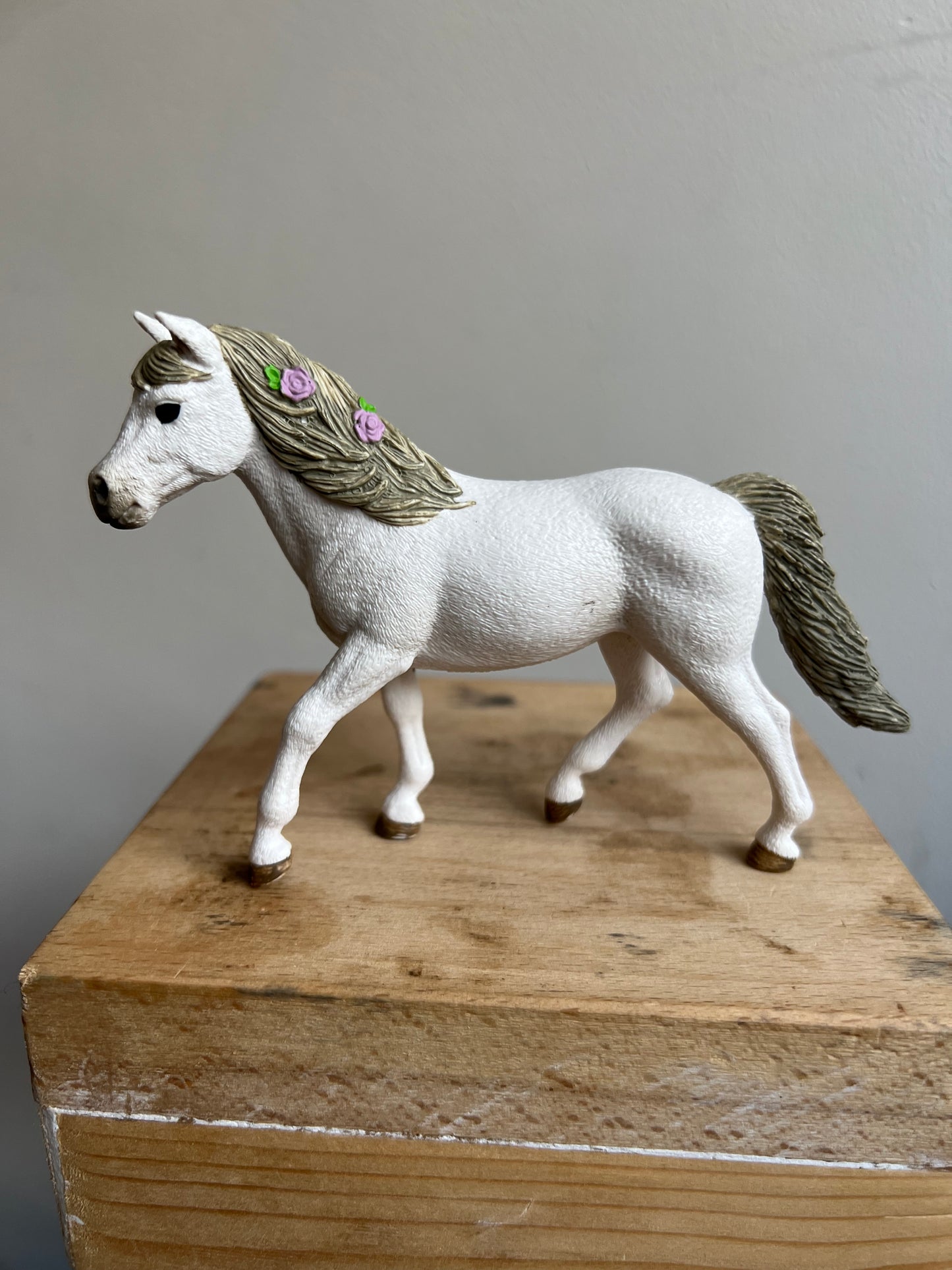 ✨Re-Loved Rockstar Connemara – Petal ✨