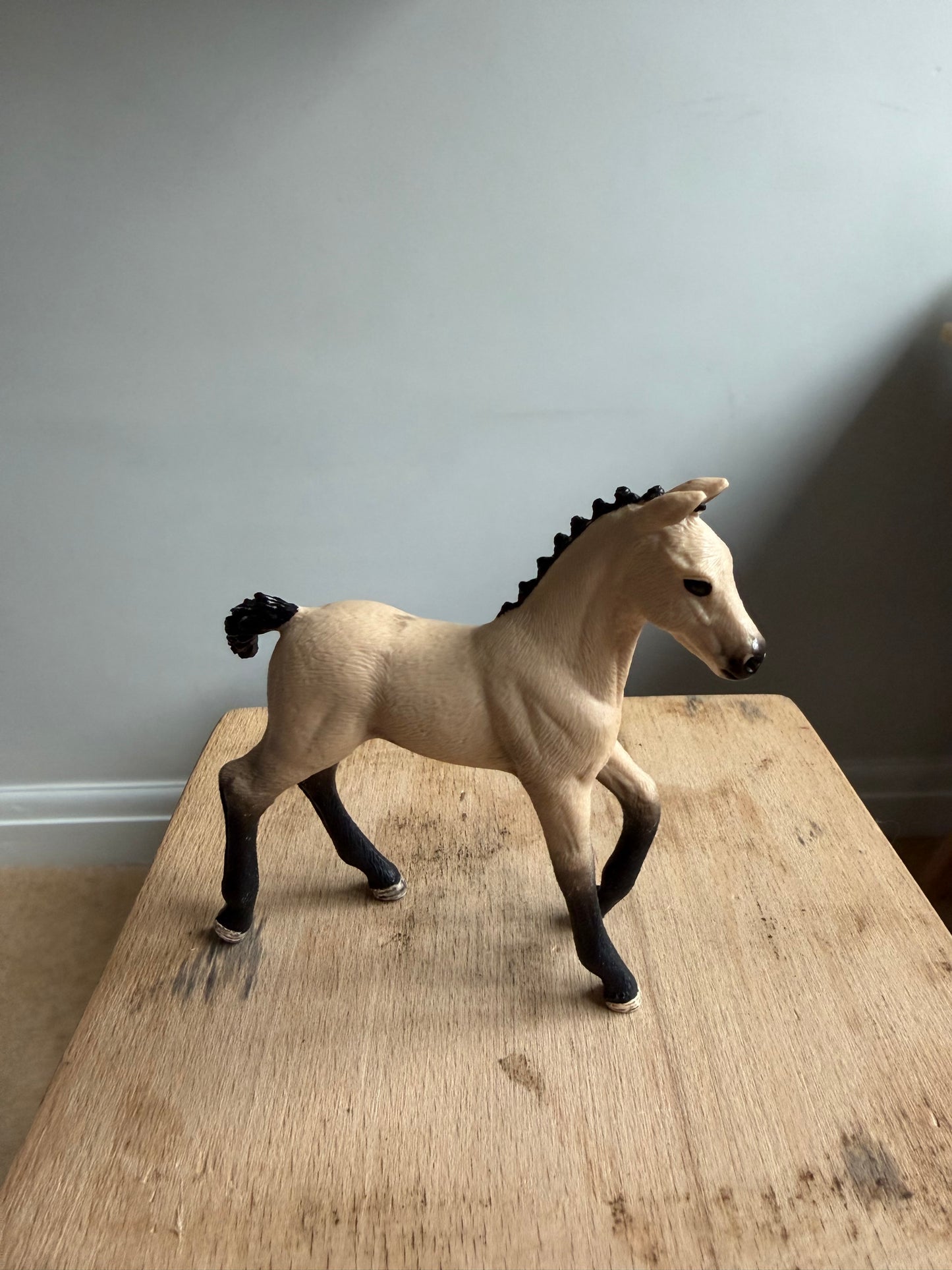 ✨ Re-Loved Rockstar Hanoverian Foal –✨
