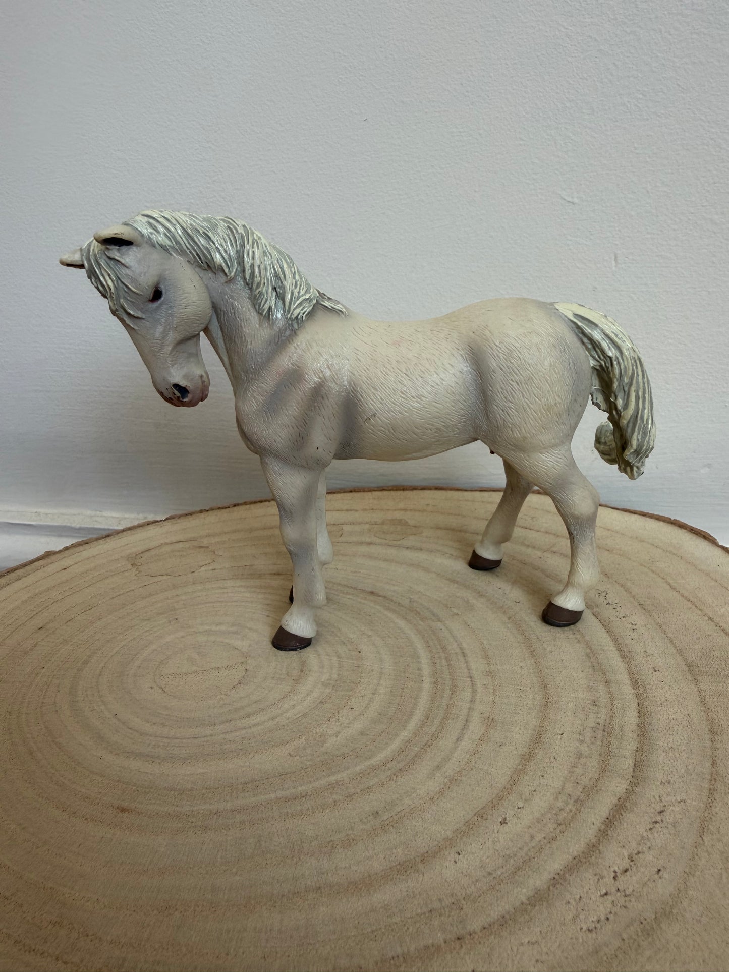 ✨Re-Loved Rockstar PAPO Lipizzaner– 2007