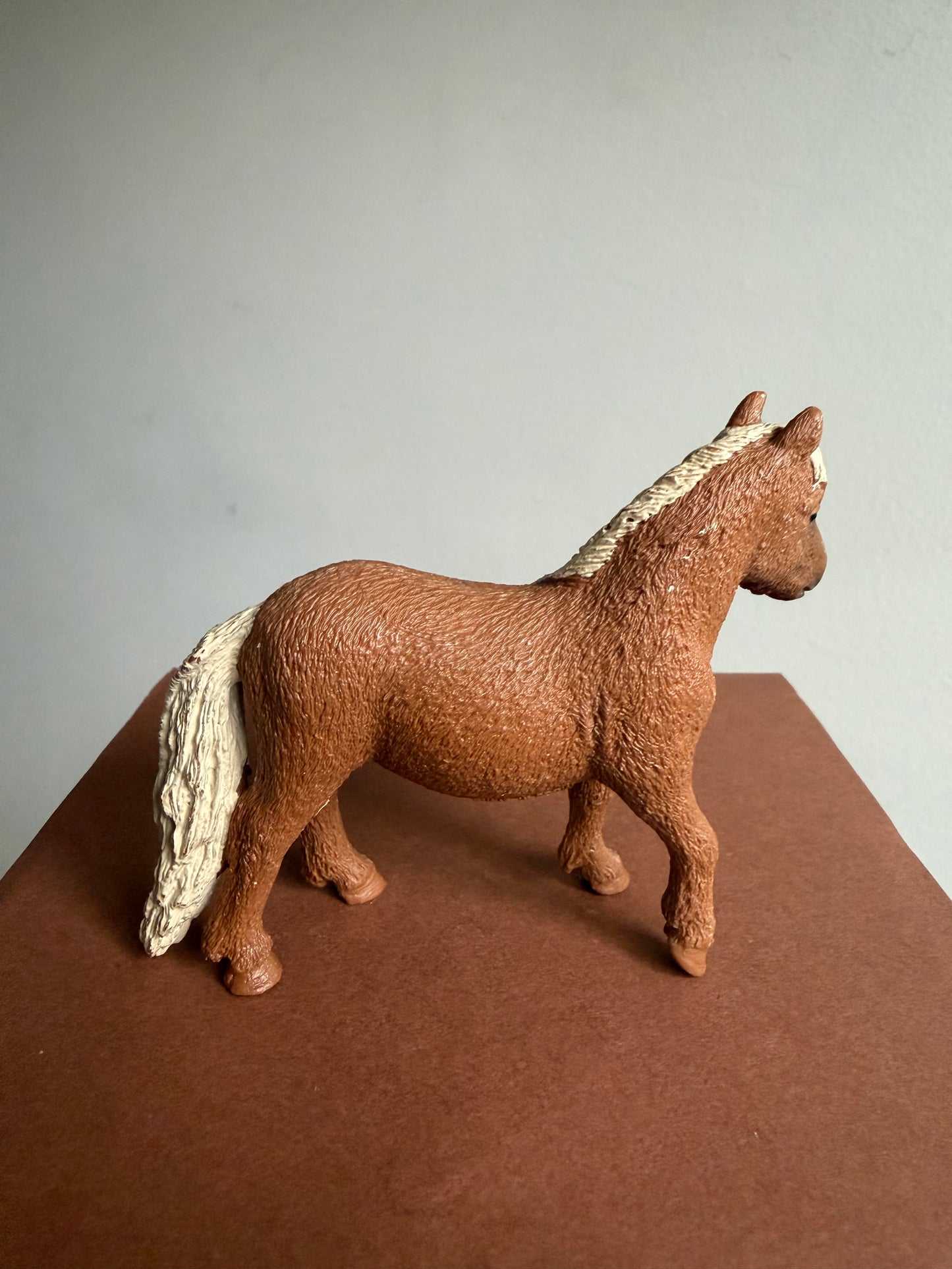 ✨Re-Loved Rockstar Shetland– Ruby