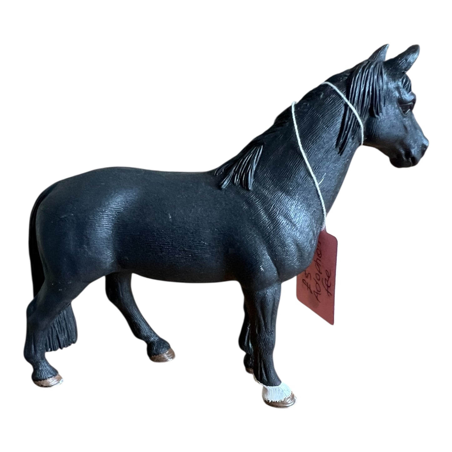 ✨ Re-Loved Rockstar Tennessee Walker – Eclipse ✨