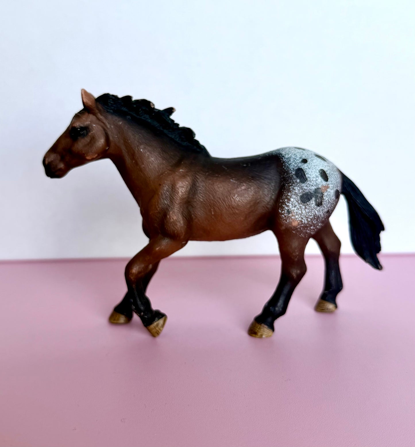✨Re-Loved Rockstar Appaloosa Stallion – Bullet