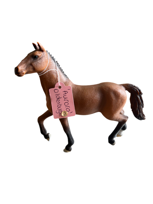 ✨ Re-Loved Rockstar Oldenburg Mare – Aurora ✨