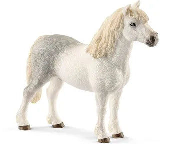 ✨Re-Loved Rockstar Welsh Stallion – Freddie✨