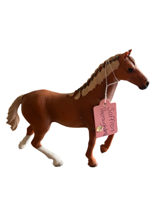 ✨ Re-Loved Rockstar Thoroughbred – Saffron ✨