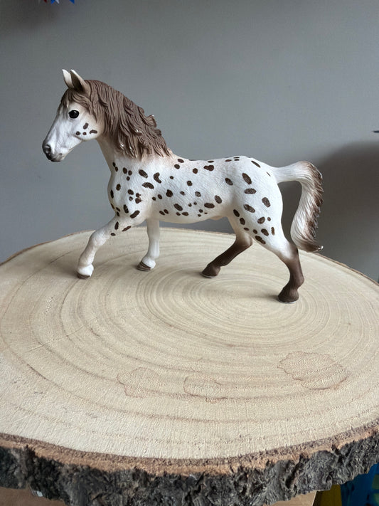 ✨ Re-Loved Rockstar Knabstrupper Stallion ✨
