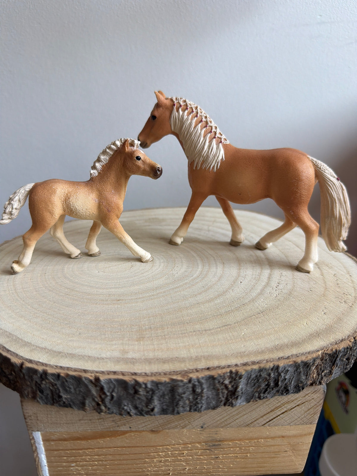 ✨Re-Loved Rockstar Haflinger Mare & Foal