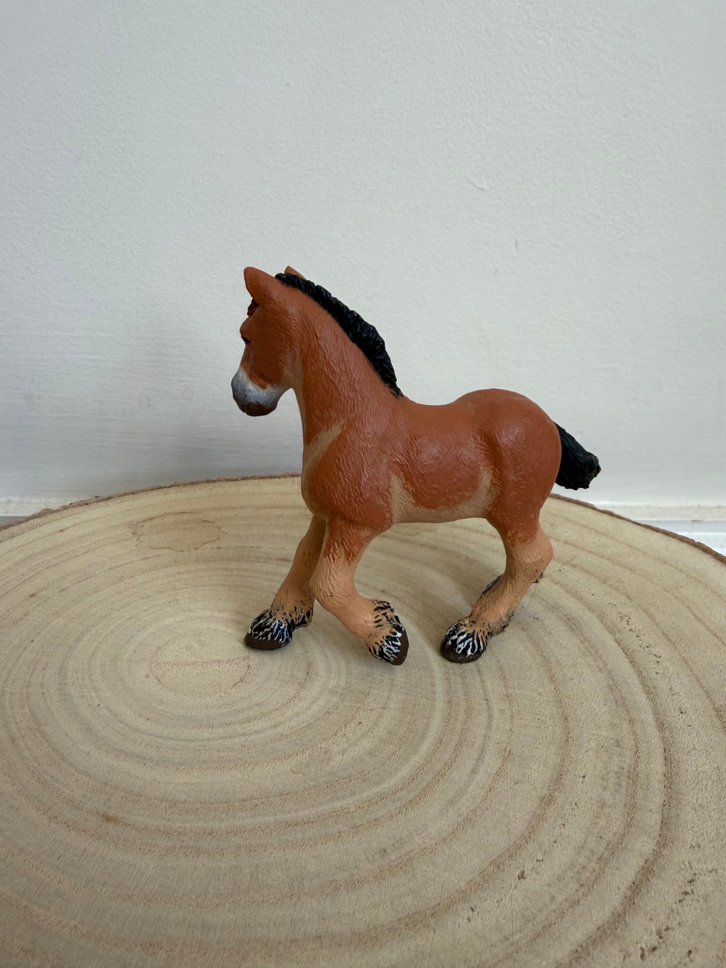 Re-Loved Rockstar: Ardennes Foal PAPO