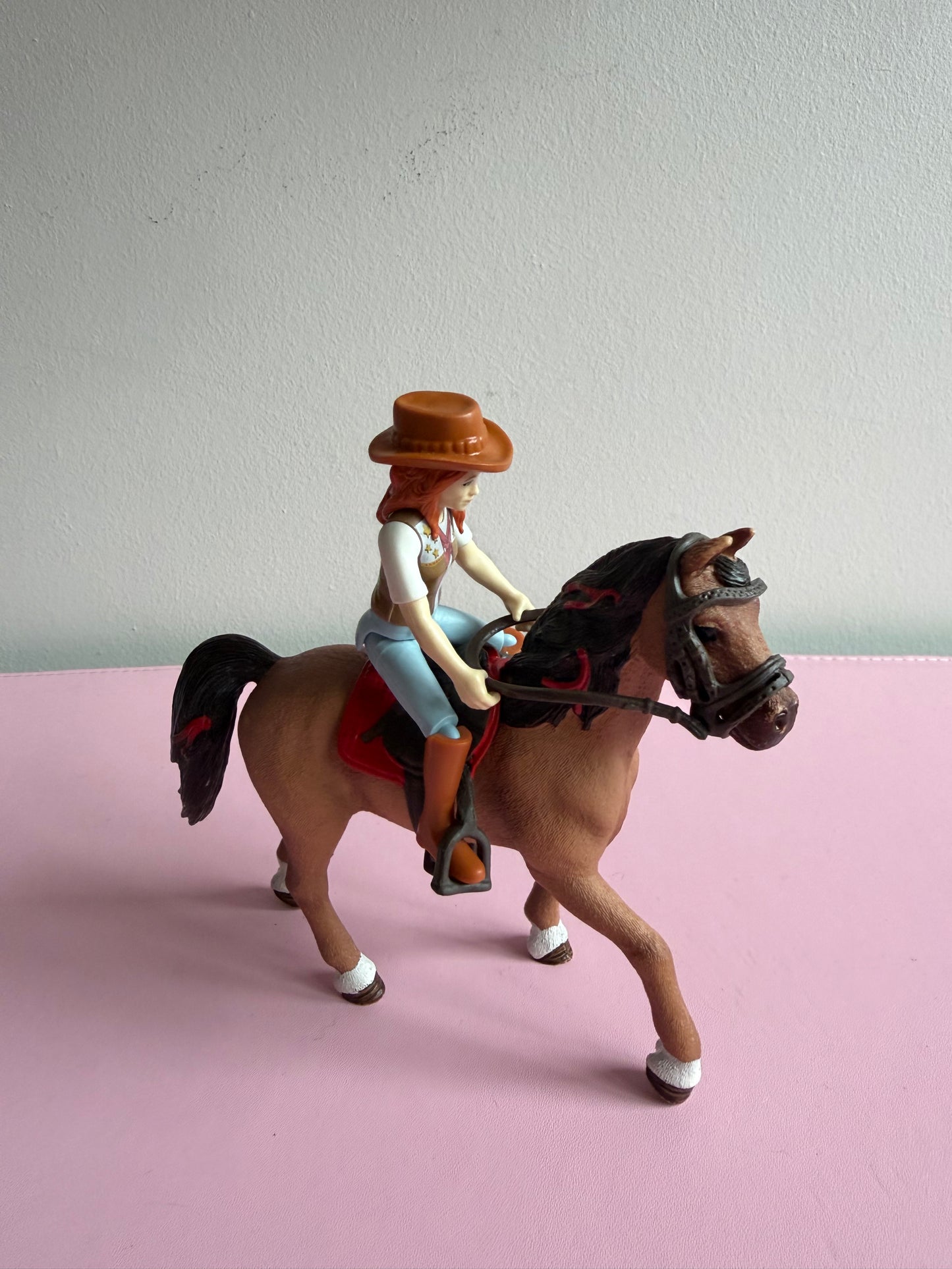 Re-Loved Rockstar: Cayenne Mare and Rider Hannah