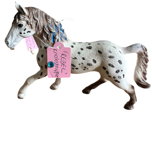 ✨ Re-Loved Rockstar Knabstrupper – Rebel ✨