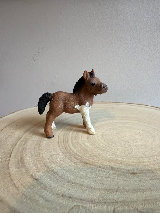 ✨Re-Loved Rockstar Shetland Pony Foal  ✨Teddy