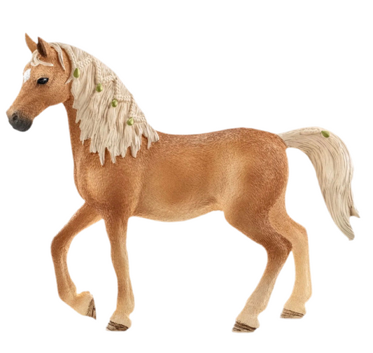 ✨Re-Loved Rockstar Arabian Mare – Mystery✨