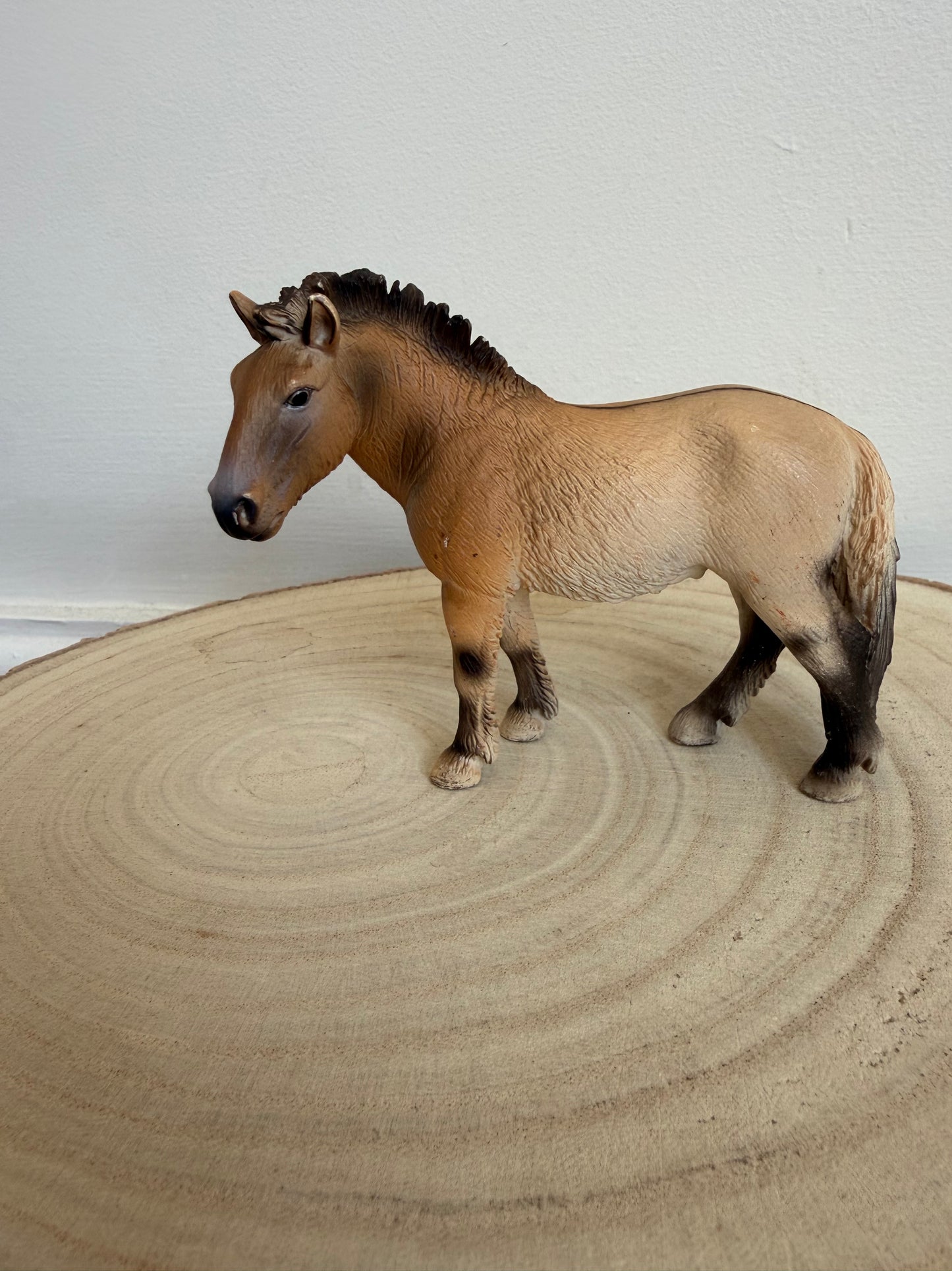 Re-Loved Rockstar: Przewalski's Mare 2006