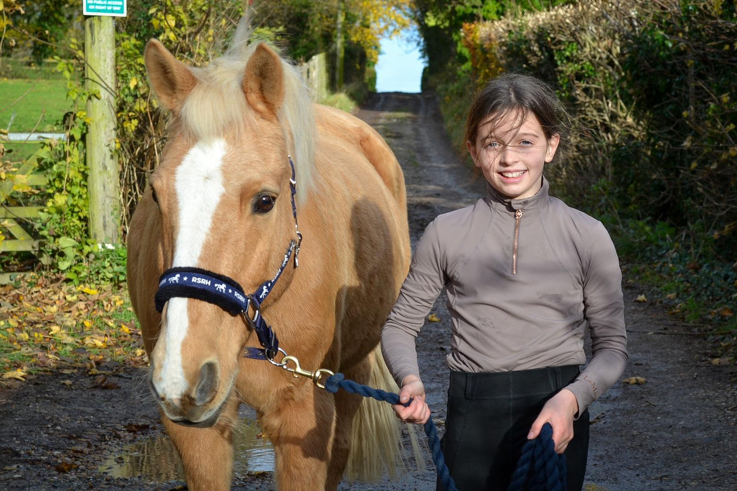 Rock Star Rocking Horse Head Collar - Midnight Harmony