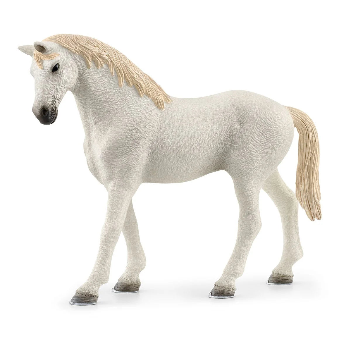 ✨ Re-Loved Rockstar Thoroughbred – Moonlight✨