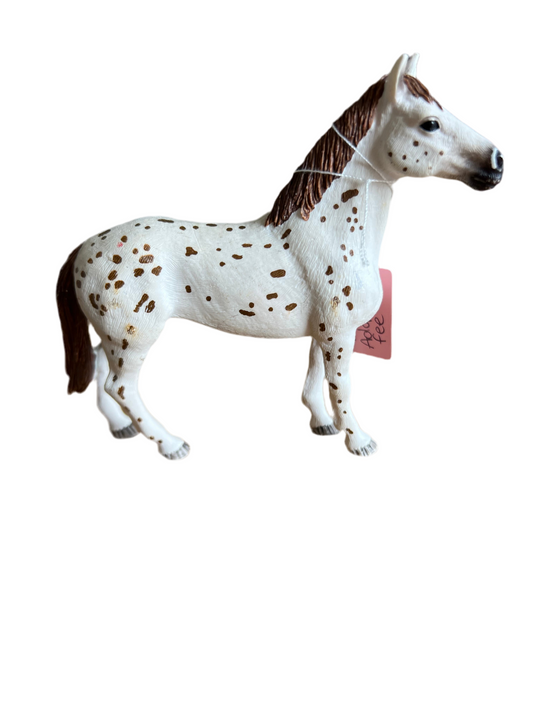✨ Re-Loved Rockstar Appaloosa – Axel ✨
