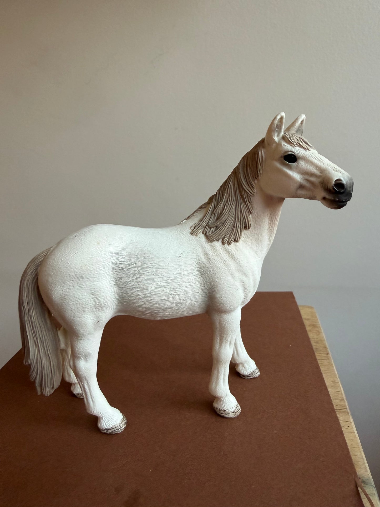 ✨Re-Loved Rockstar Mustang Mare – Flint✨