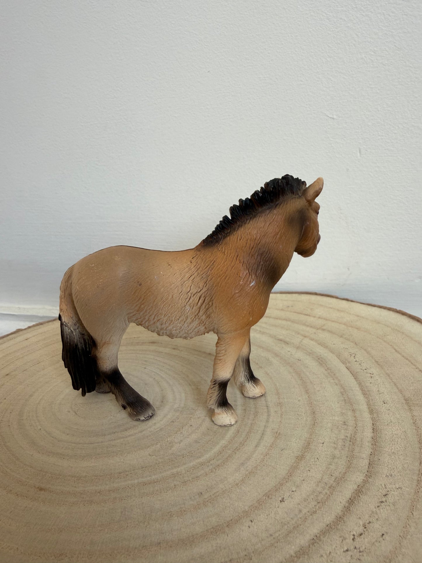 Re-Loved Rockstar: Przewalski's Mare 2006