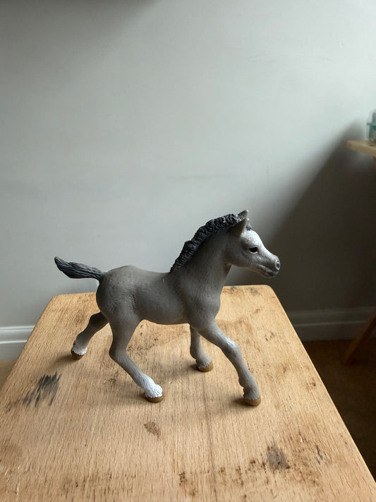 ✨ Re-Loved Rockstar Playful Foal –✨