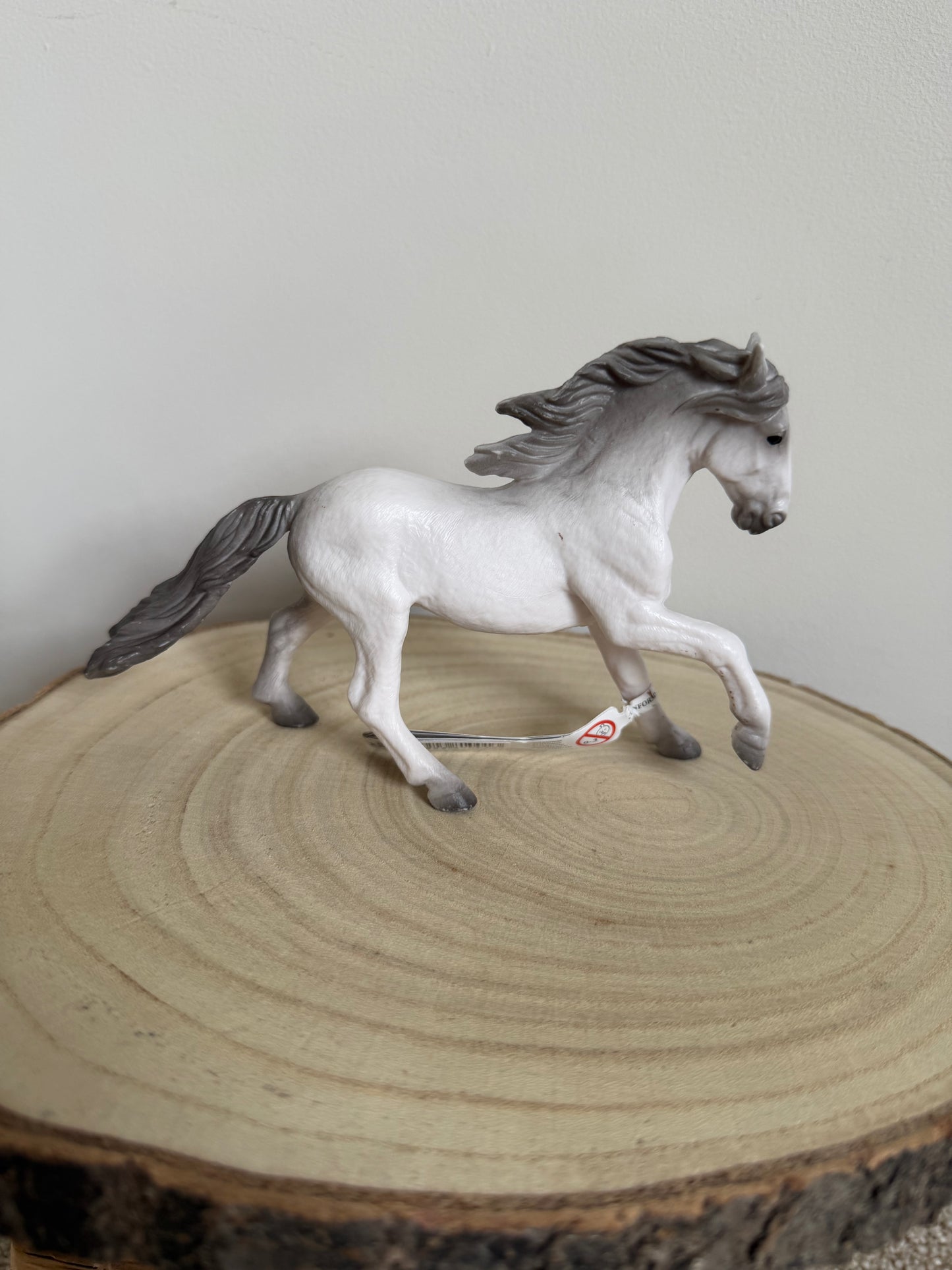 ✨Re-Loved Rockstar – Lusitano Stallion- Mojo✨