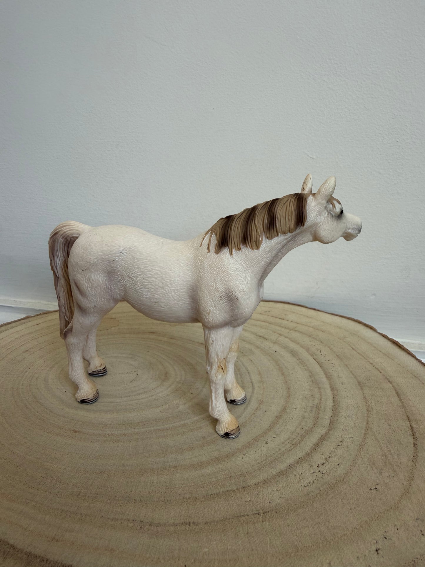 ✨Re-Loved Rockstar Arabian Mare – 2007 ✨