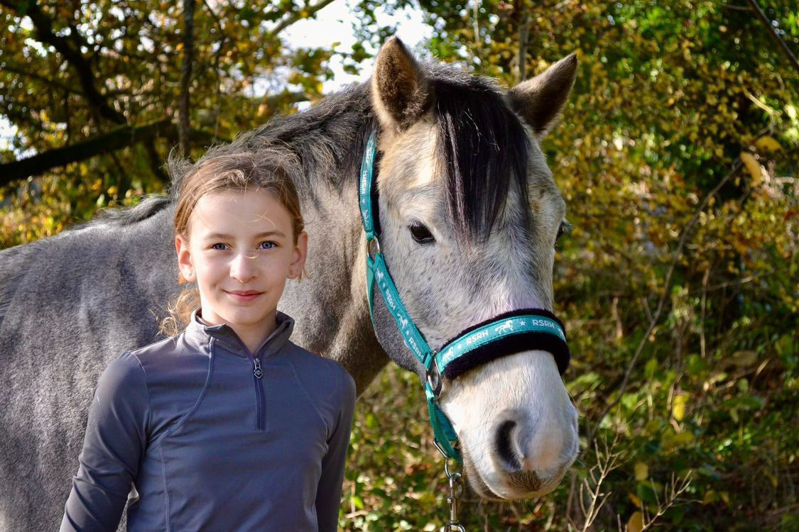 Rock Star Rocking Horse Head Collar - Rebel Teal