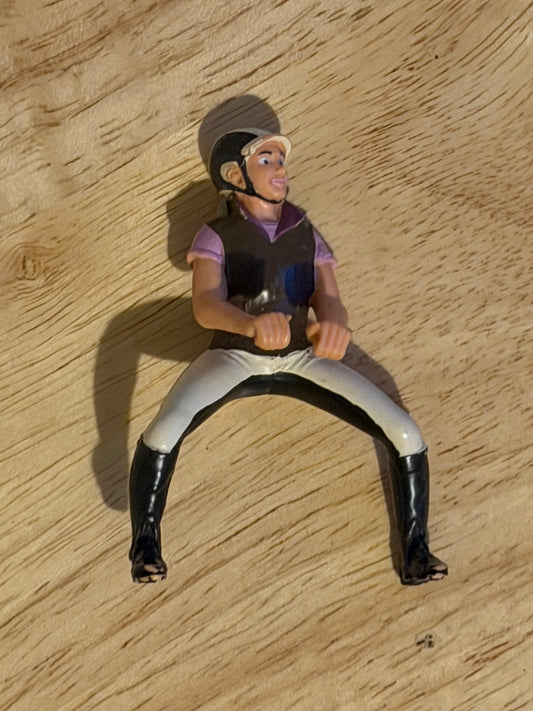 ✨ Re-Loved Rockstar Rider  –✨