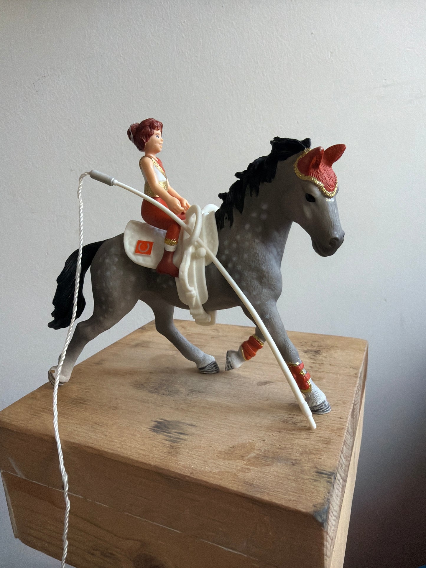 Re-Loved Rockstar - Vaulting Set & Rider- Perdie